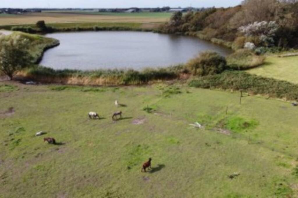 B&B Hoeve Dijkstal Logeren Op De Boerderij Sint Maarten Extérieur photo
